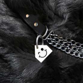 Chapas personalizadas para Mascotas - MODELO CASA - Imagen 4